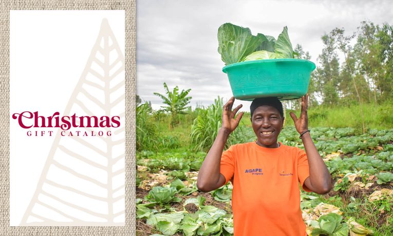 Through livelihoods and agriculture projects, Samaritan's Purse is meeting the needs of displaced families in Democratic Republic of the Congo.