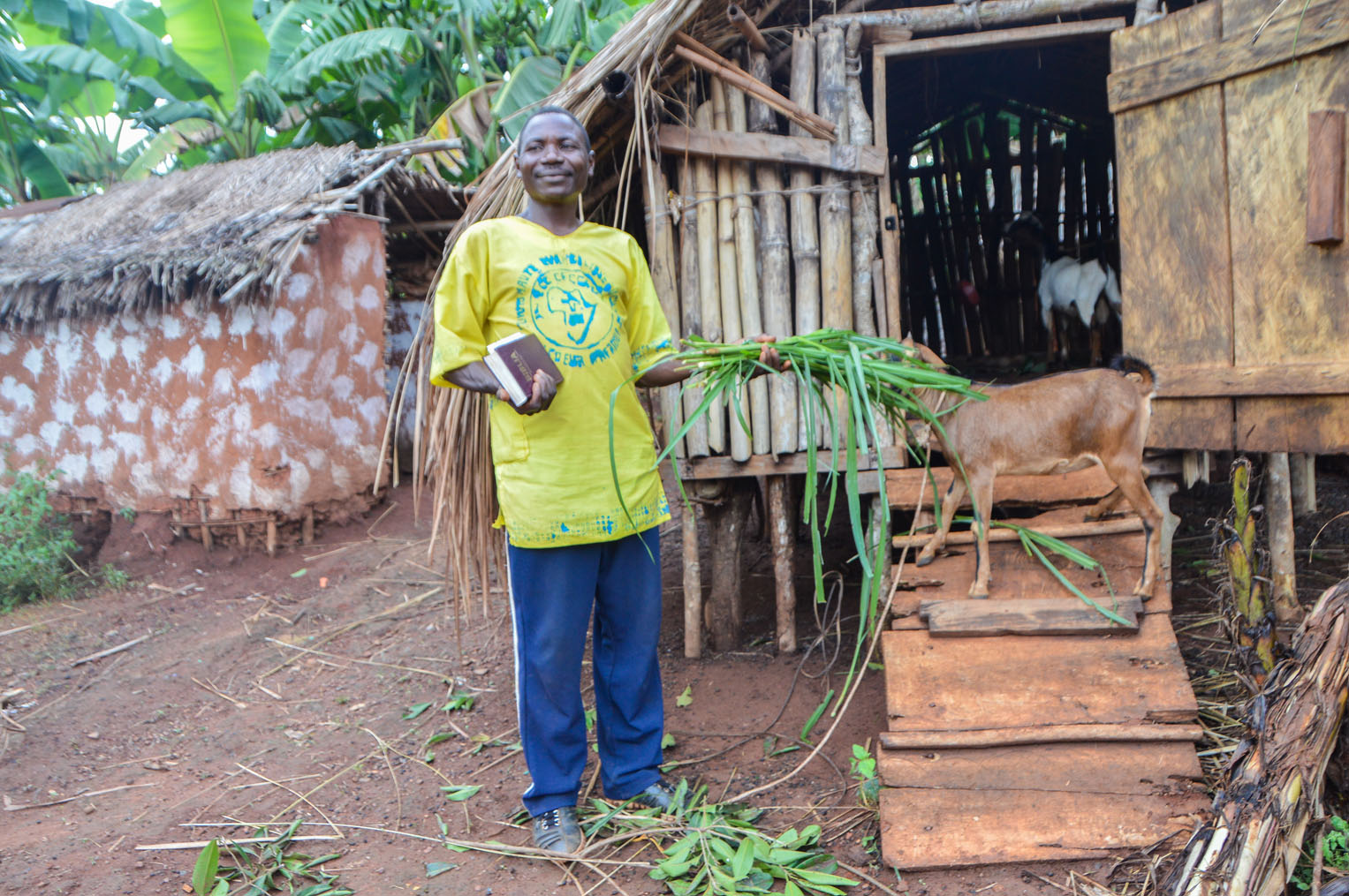 Through the goats provided by Samaritan's Purse, families are seeing the fruit of their labor paying off in food sources and economic opportunity.