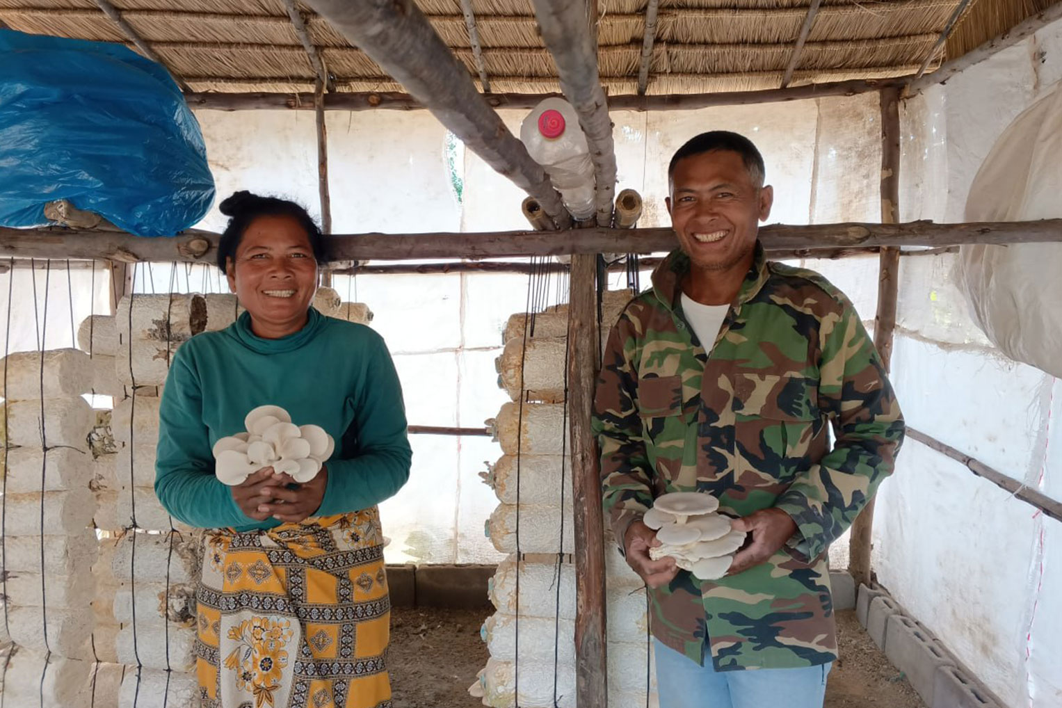 San and her husband are growing mushrooms as a cash crop to provide for their family.