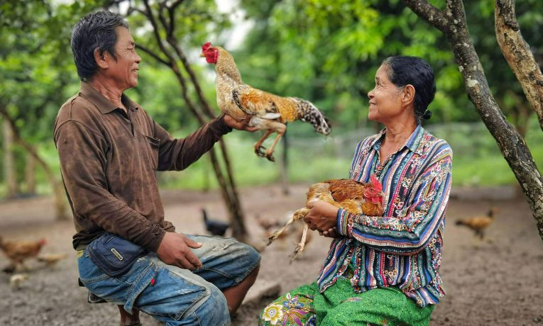 Families in Cambodia are learning how to raise chickens, other livestock, and crops to support their families.