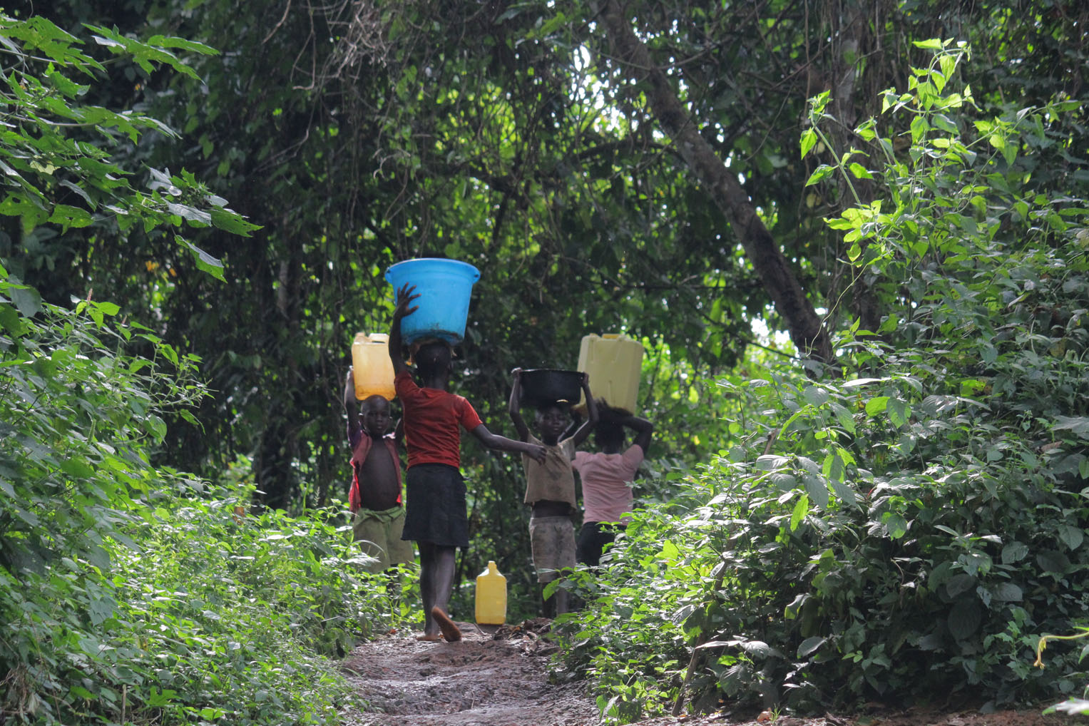 To access water, many families in the bush areas of the country are required to make trips into the bush. Children, too.