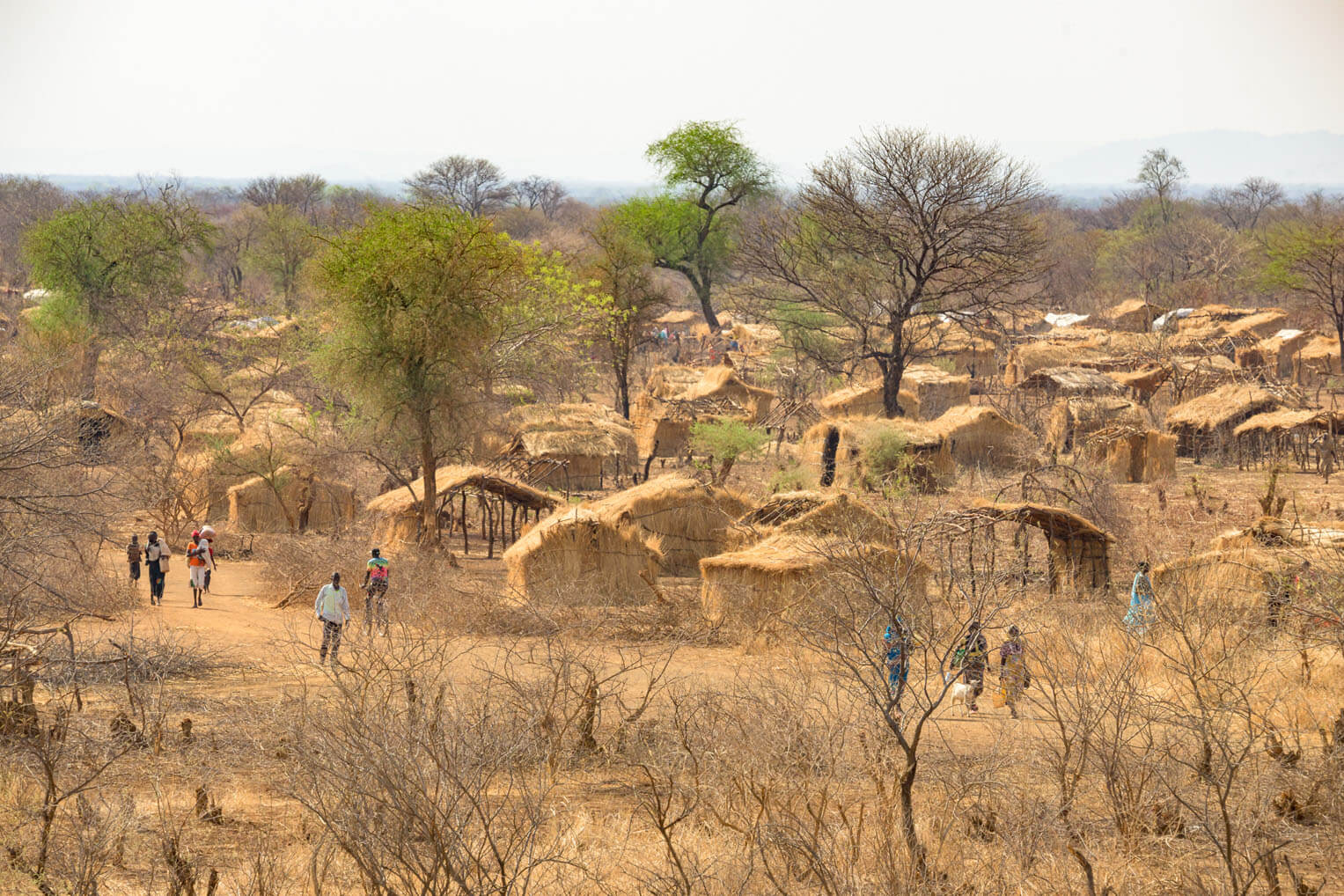Displaced Sudanese families built makeshift shelters in a refugee camp.