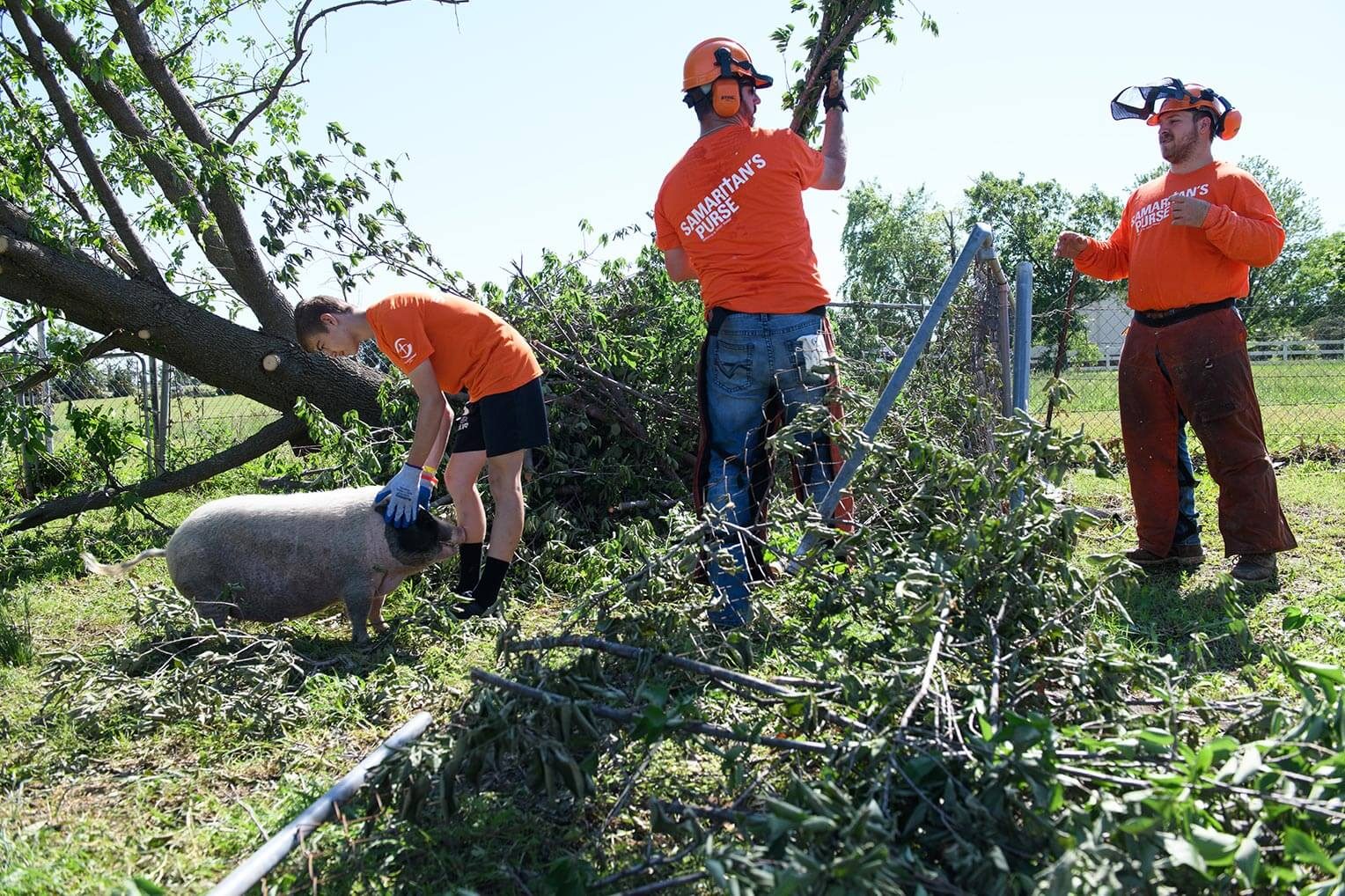 Entre otras cosas, los voluntarios de Samaritan’s Purse quitan árboles caídos de las propiedades.