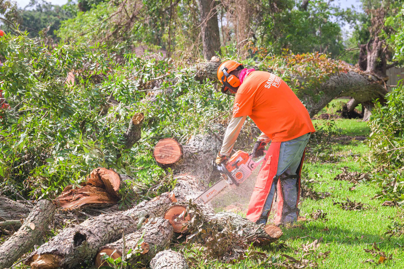 Beryl knocked massive trees like this onto roofs, yards, and streets. Our chainsaw teams are removing the fallen timbers.