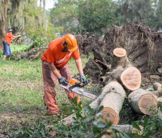 Los voluntarios comensaron a trabajar durante el fin de semana en Louisiana, luego del huracán Francine.