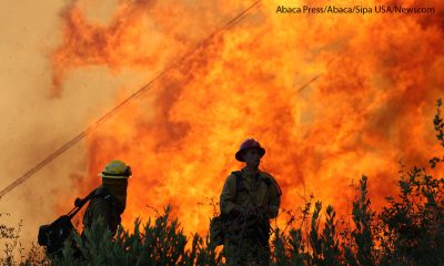 Firefighters battle to contain the Park Fire in California on July 25, 2024.