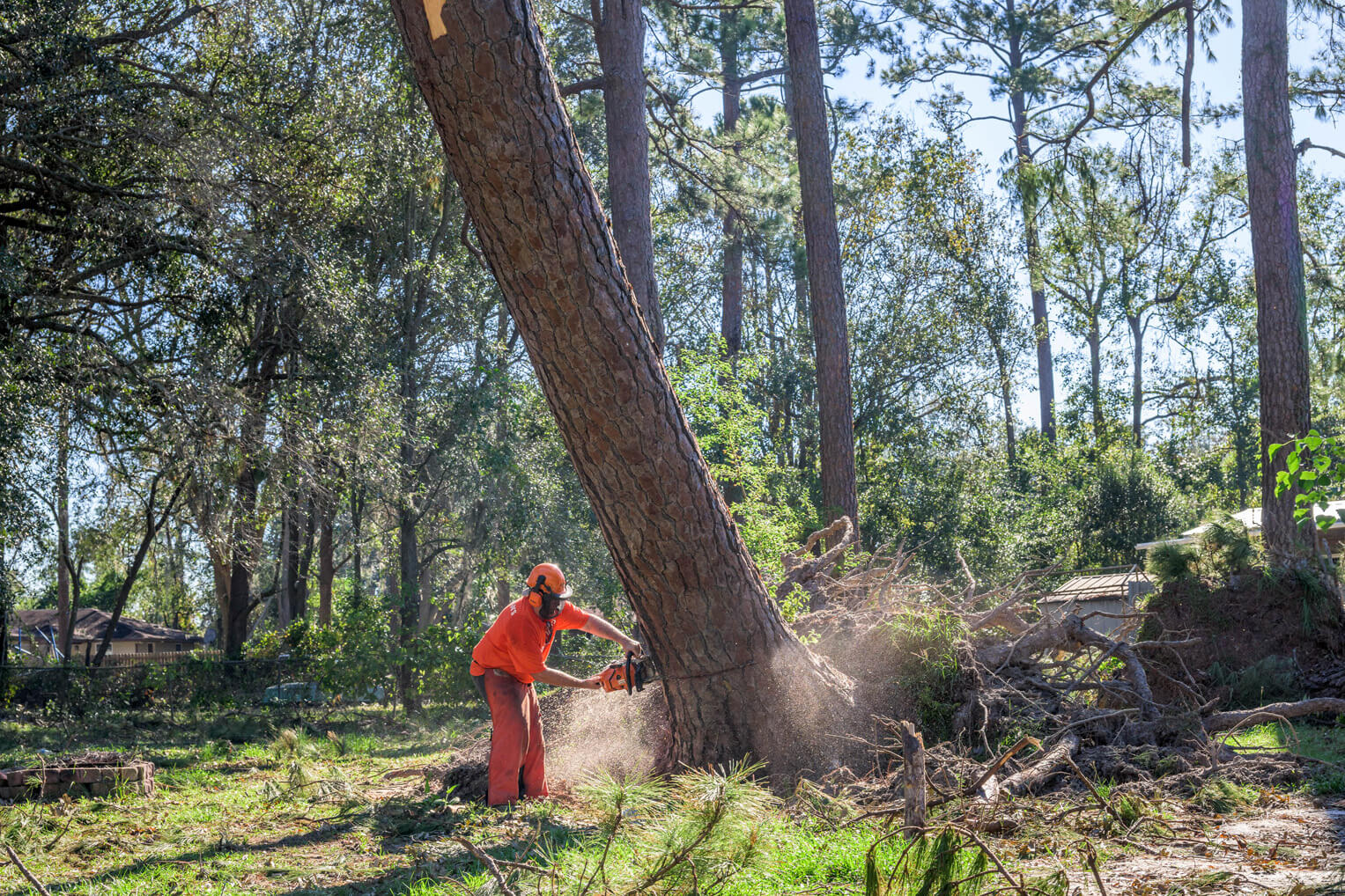 Large timbers seated in rain-softened soil threatened homes in Valdosta as powerful winds whipped through the area.