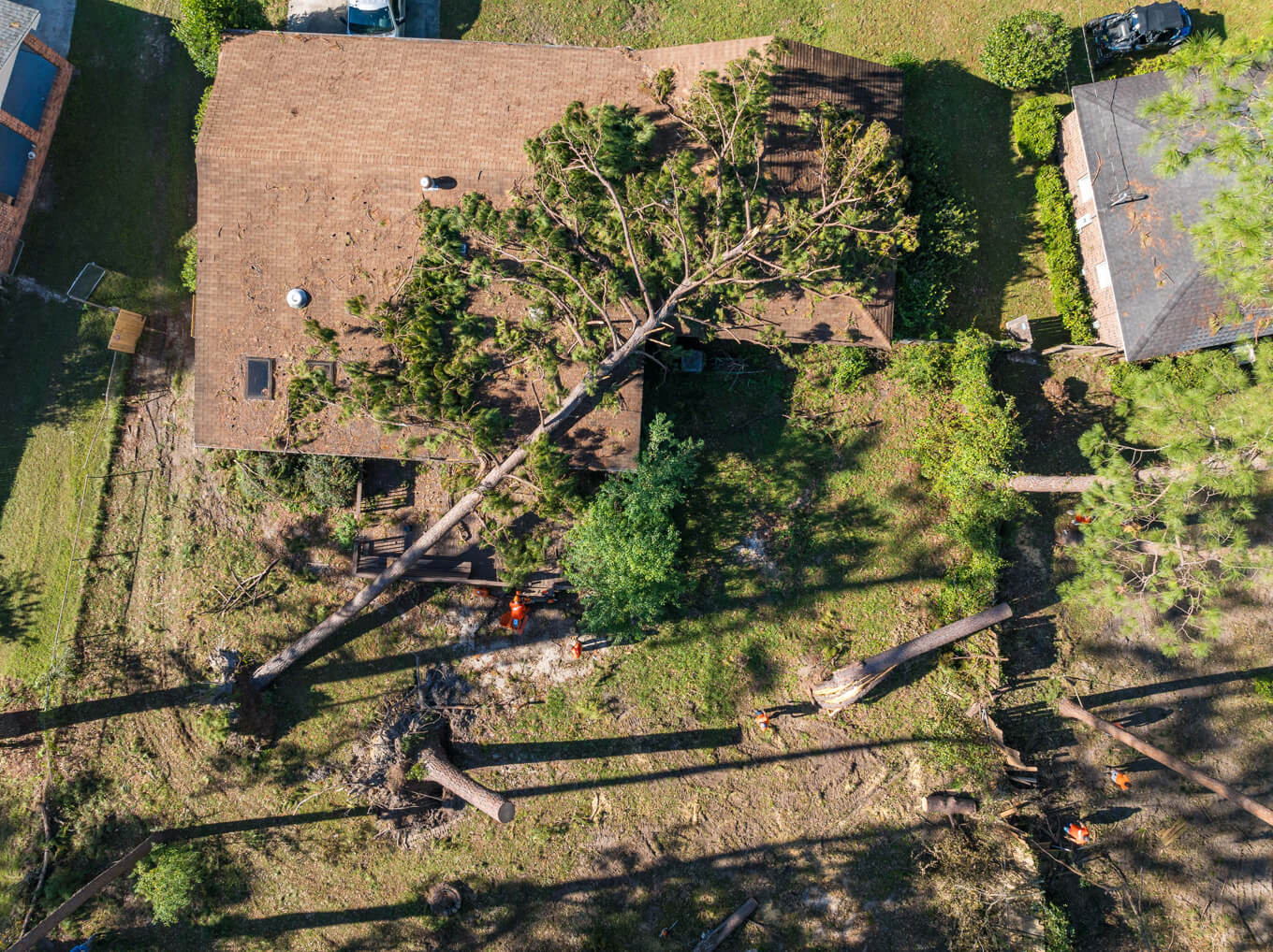 Su casa y su propiedad quedaron atravesados por árboles, algunos de los cuales cayeron sobre su techo durante el huracán Helene.