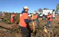 Volunteers are hard at work cleaning up trees and debris left by early November storms.