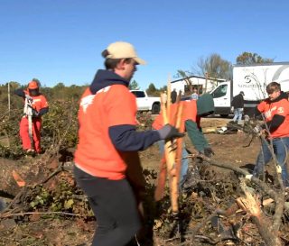 Volunteers are hard at work cleaning up trees and debris left by early November storms.