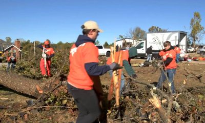 Volunteers are hard at work cleaning up trees and debris left by early November storms.