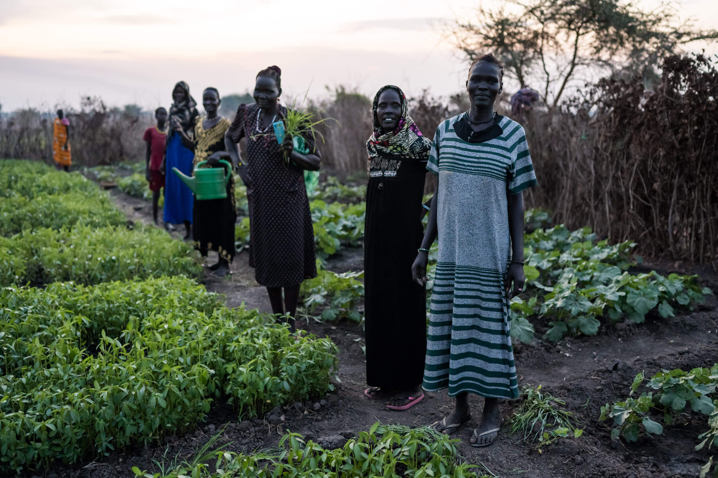 Women in Mayom County and throughout South Sudan are learning how to grow their own food through resiliency training provided by Samaritan's Purse.