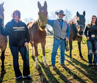 Mike Toberer , wife Michele, left, and their daughter, Faith, welcome two horses and a mule provided by Samaritan's Purse.