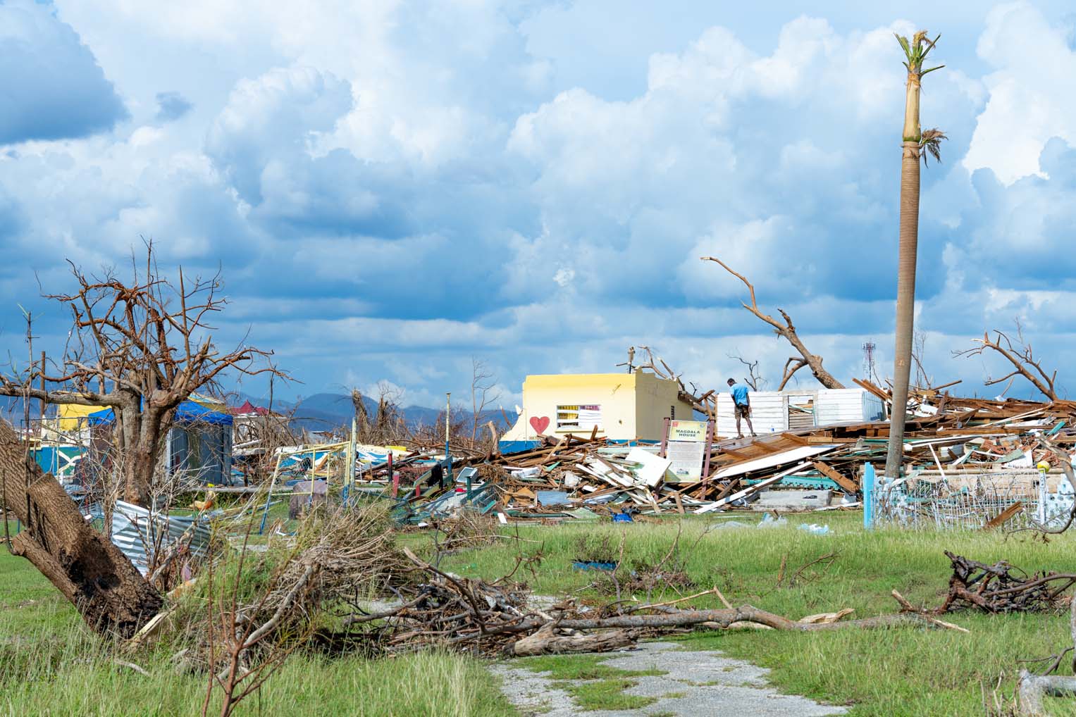 Collapsed homes and uprooted trees scattered across a field in Black River, Jamaica, after Hurricane Melissa.