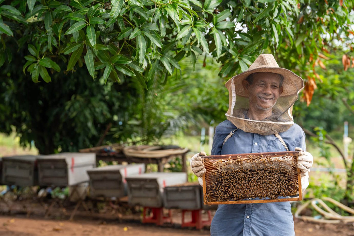 Beekeeping is one of many livelihood programs Samaritan's Purse has in Cambodia, all of which aim to show God's love as families rise out of poverty.