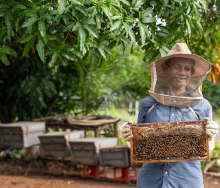 Beekeeping is one of many livelihood programs Samaritan's Purse has in Cambodia, all of which aim to show God's love as families rise out of poverty.