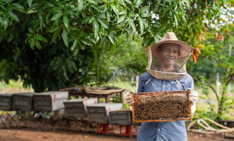 Beekeeping is one of many livelihood programs Samaritan's Purse has in Cambodia, all of which aim to show God's love as families rise out of poverty.