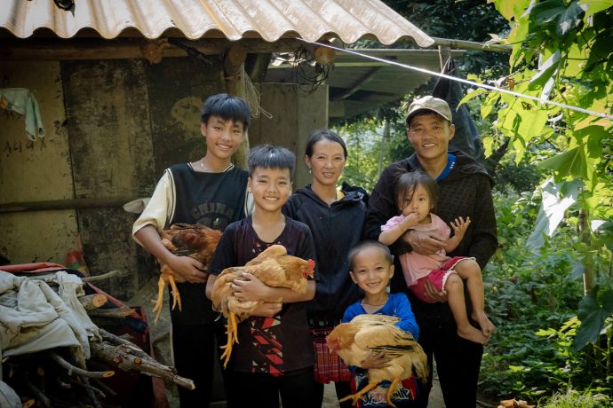 Estos pollos y estas vacas traen una esperanza palpable para las familias vietnamitas. Ora pidiendo seguridad y salud para que sus manadas y rebaños se multipliquen. 