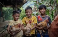 In remote Vietnam, Samaritan's Purse is helping families rise out of poverty—and putting smiles on faces—through cows and chickens.