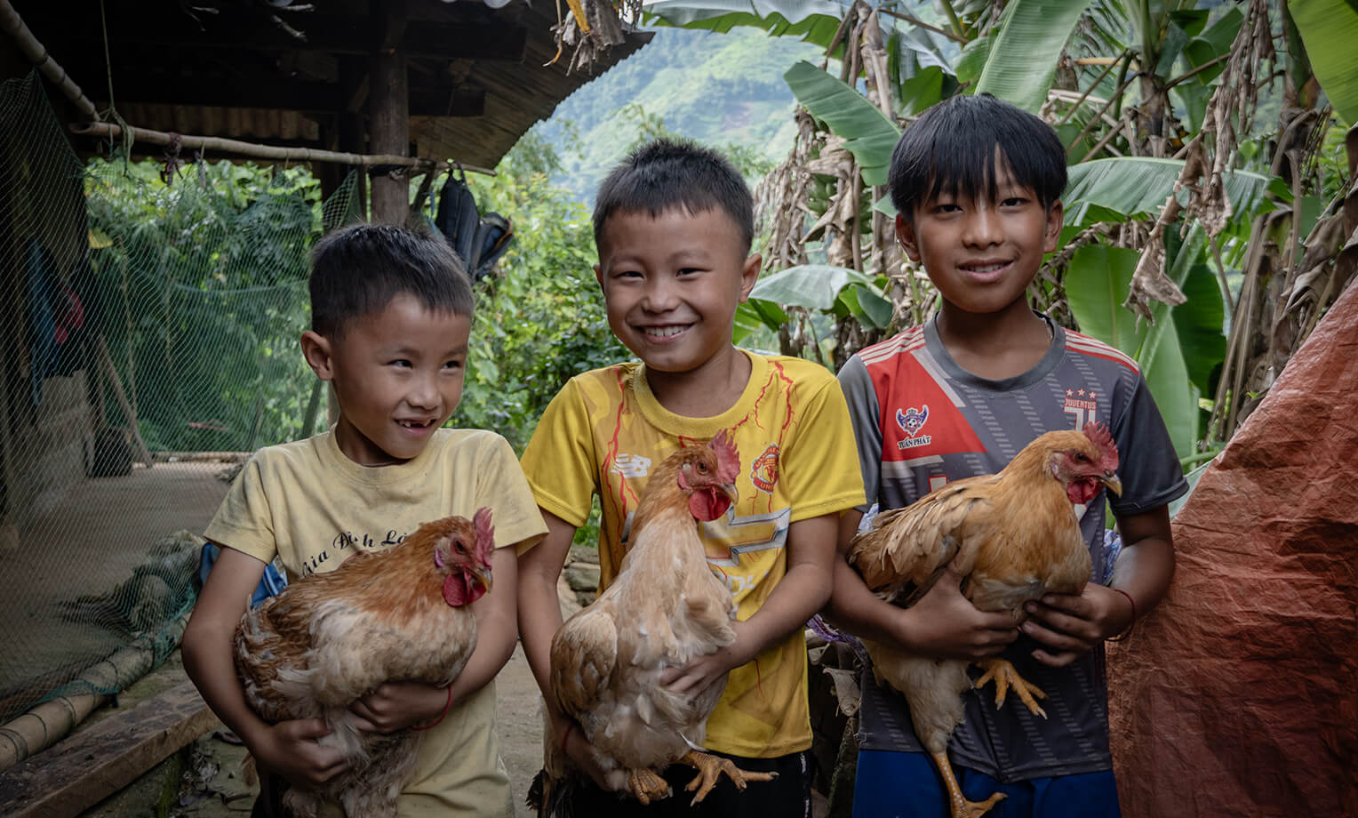 Cows and Chickens Provide a Way in Vietnam