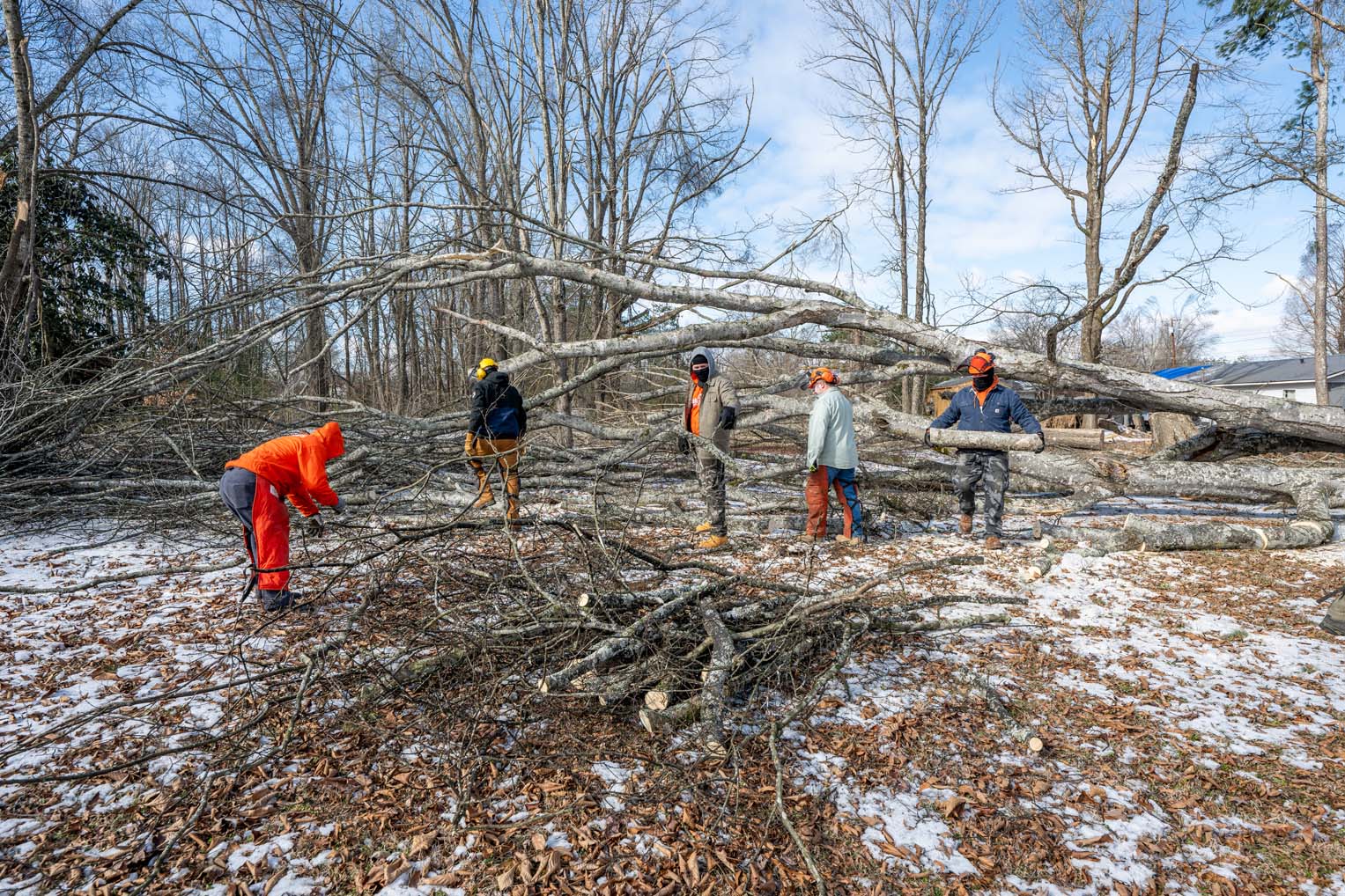 The weight of ice and snow toppled large trees in southeastern communities.