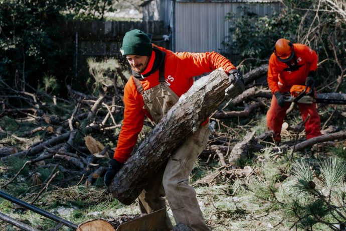 Volunteer carries large log
