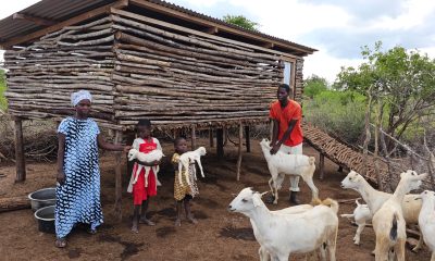 Martin family with goats
