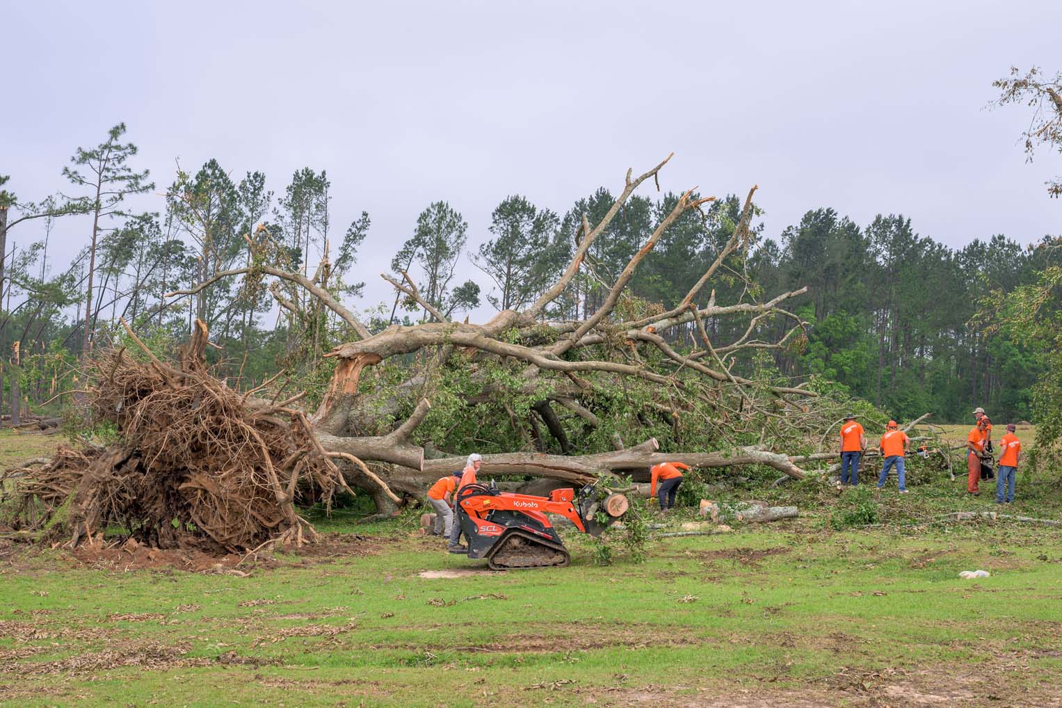 The storm left behind massive fallen trees, requiring chainsaw teams and heavy equipment to clear.