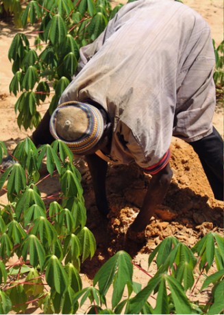 A Glimpse of Niger