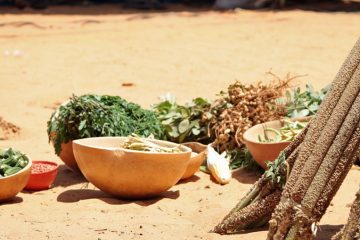 Agriculture programs Niger